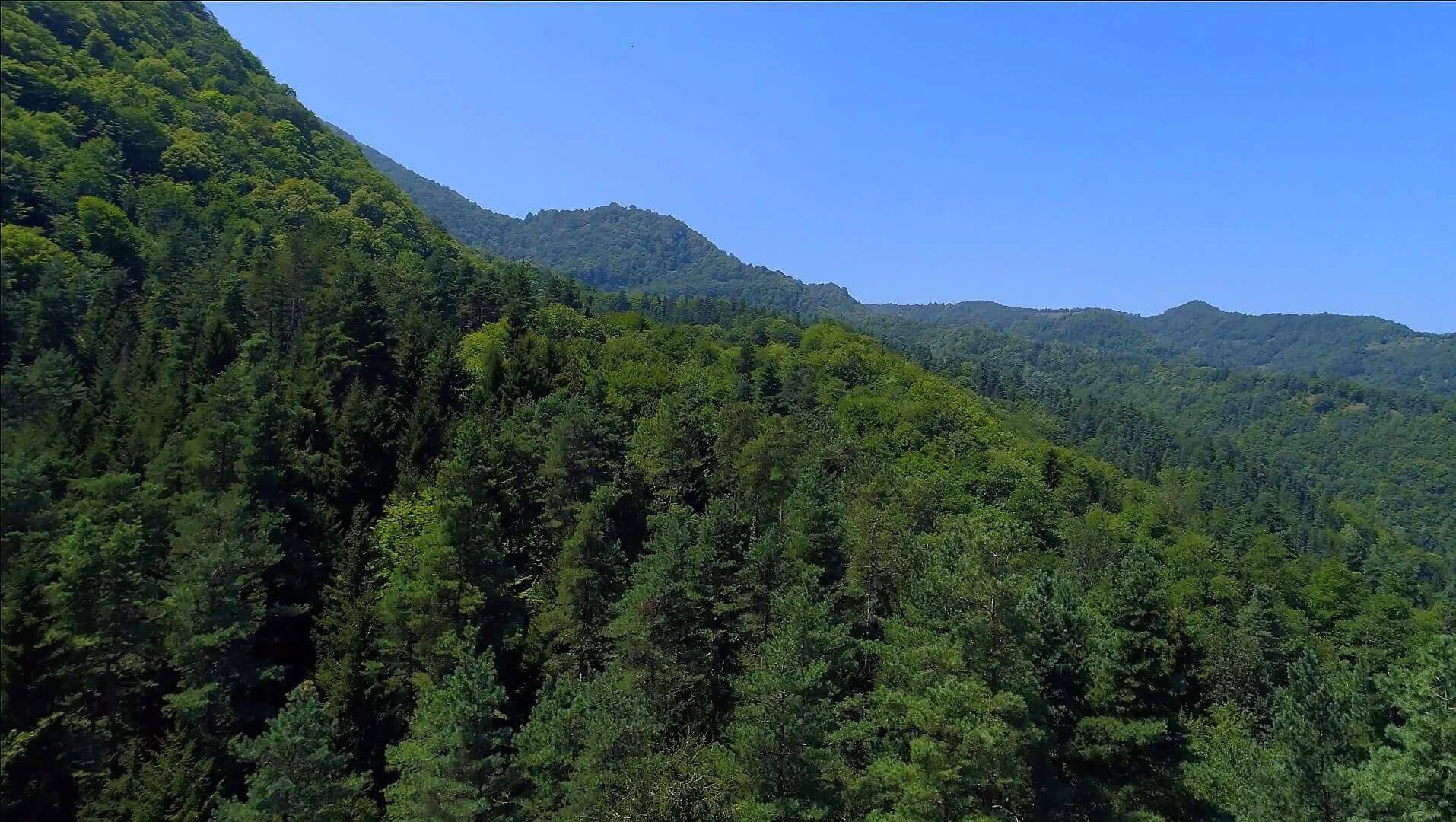 Another arial view of Nunisi forest