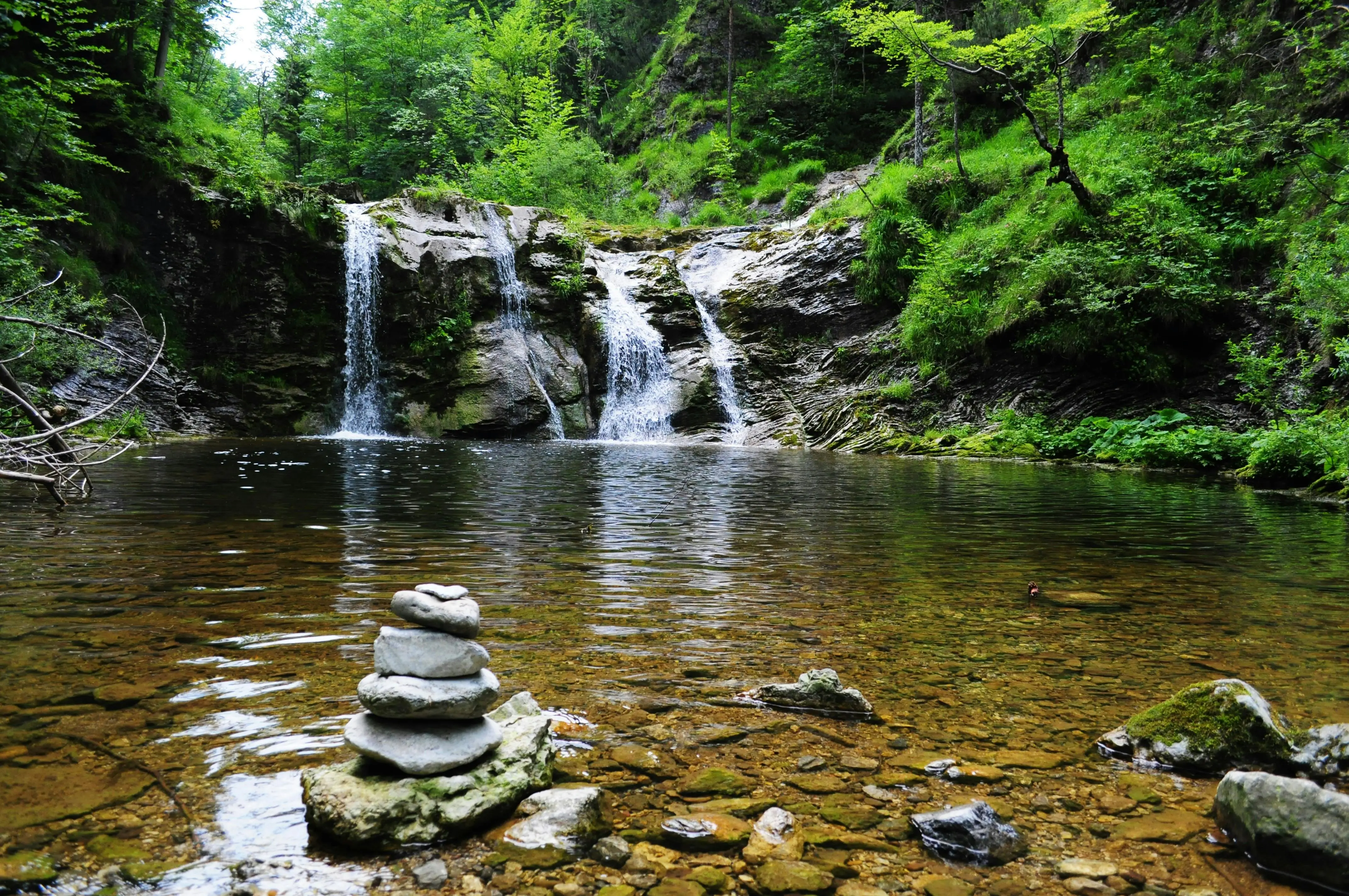 An image of a relaxing forest river